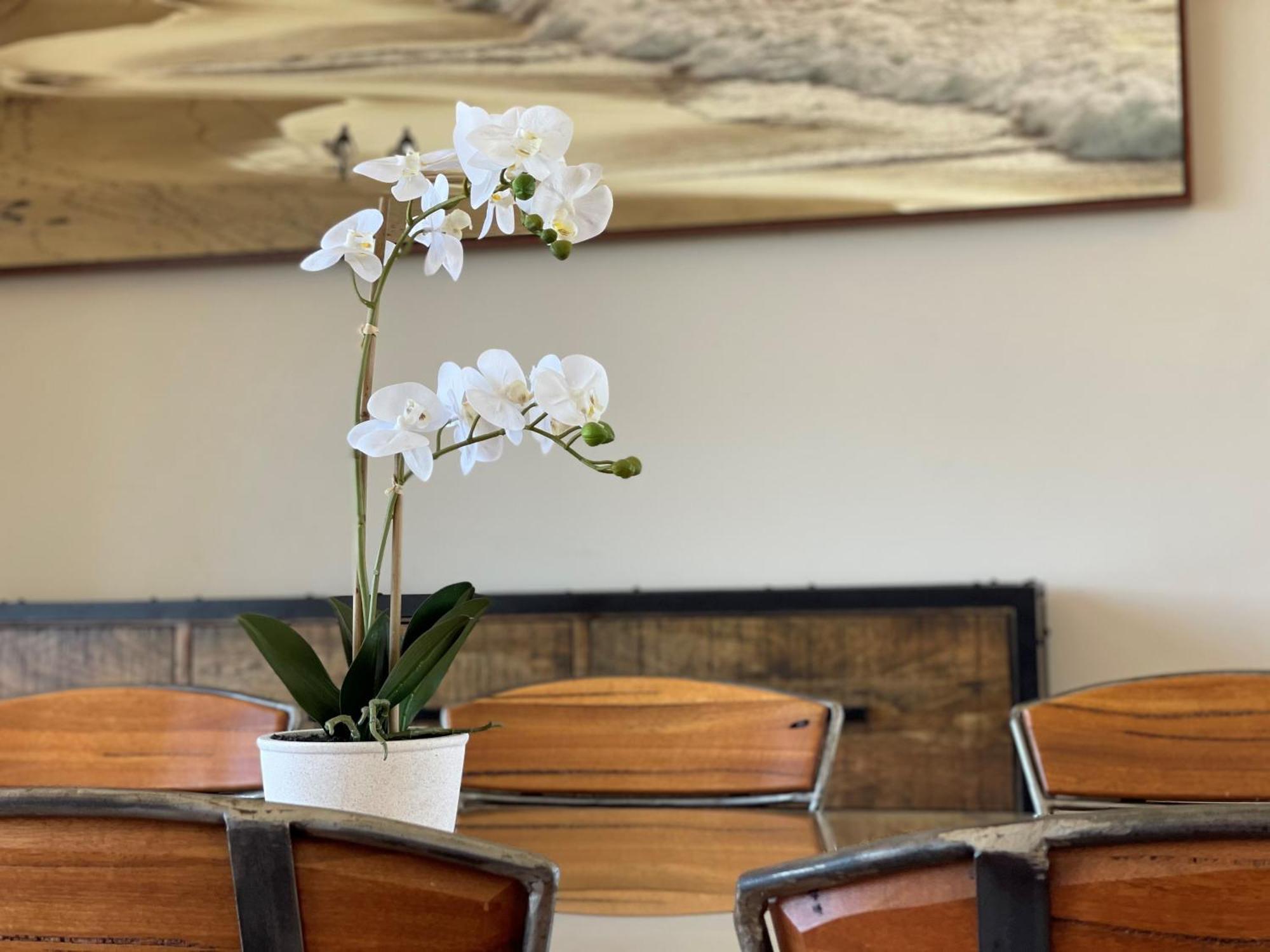 Barwon Heads Resort Rum bild
